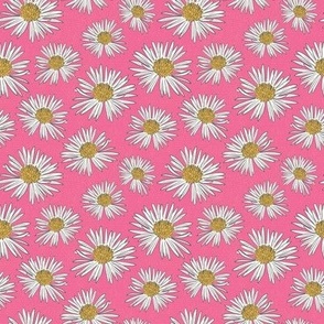 Daisies-on-Hot-Pink_4x4