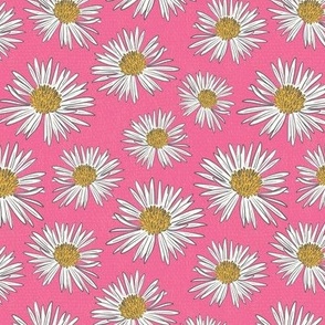Daisies-on-Hot-Pink_6x6