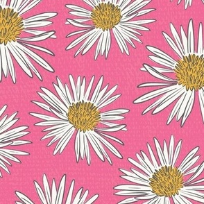 Daisies-on-Hot-Pink_12x12