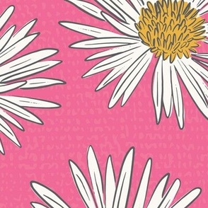 Daisies-on-Hot-Pink_24x24