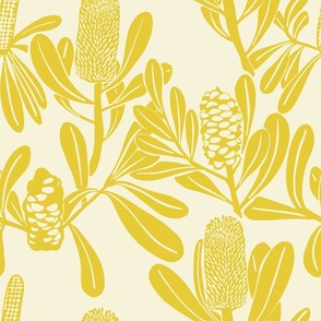 Katelyn-Tso-Banksia-mustard