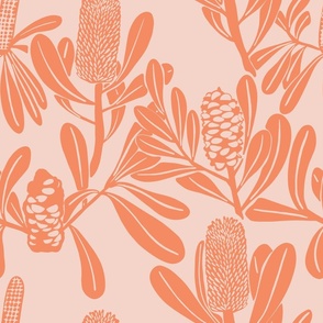 Katelyn-Tso-Banksia-peach-on-pink