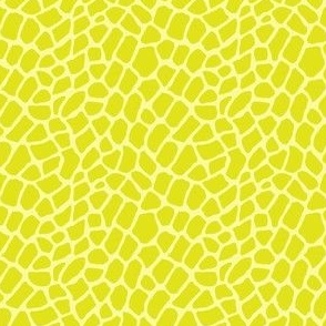 3x3 animal print lime on lighter lime monochromatic