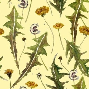 dandelions on yellow pattern