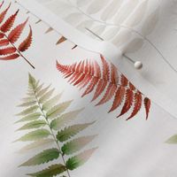 watercolor ferns fall and winter
