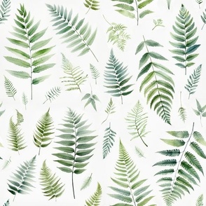 watercolor ferns