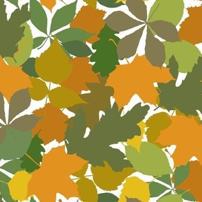 Scattered Fall Leaves of Birch, Chestnut, Aspen, and Maple Trees, Autumn Foliage Orange, Brown, Green, Olive on White 