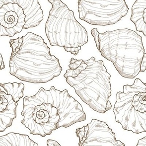 Seashell Drawing Wallpaper in Nautical Aesthetic Beach Theme Coastal Chic Style 