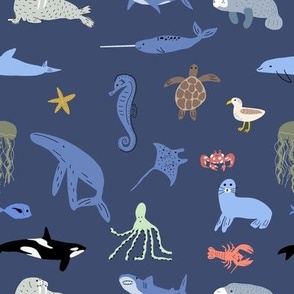 sea animals  12