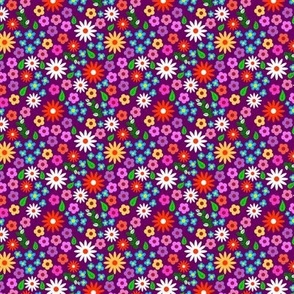 Fun and Bright Flowers in Purple