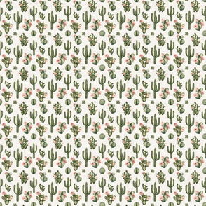 Watercolor Boho Desert Cactus Floral 3 inch