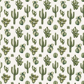 Boho Desert Cactus Watercolor Succulents 6 inch