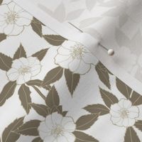 Hellebore | Beige on White 1000