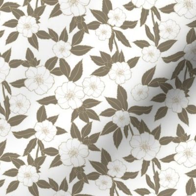 Hellebore | Beige on White 1000