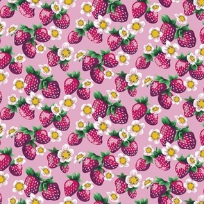Strawberry Patch Pink