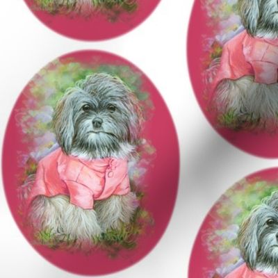 Havanese Dog in Pink Coat