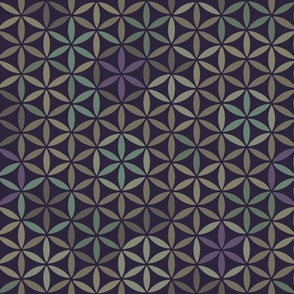 Flower of Life Color Block Dark