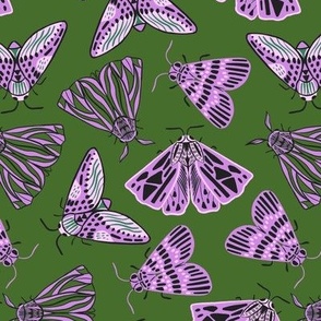 moths - olive and purple