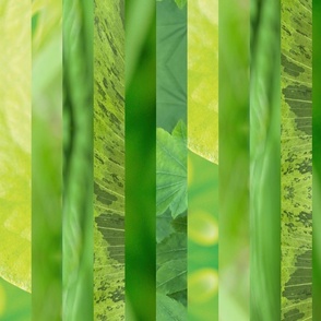 BRIGHT Color Vine Stripes - Leaf Green - Large Scale - Abstract botanical photos - plants and flowers