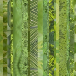 Spring Day Garden Stripes - Green Leaves and Plants - Nature Photography - Abstract Botanicals