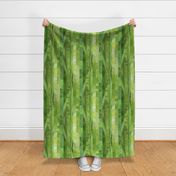 Large Wavy Vine Stripes - Leaf Green - Abstract botanical photos - plants and flowers