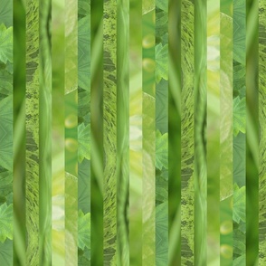 Small Wavy Vine Stripes - Leaf Green - Abstract botanical photos - plants and flowers