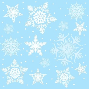 Christmas snowflake cinderella