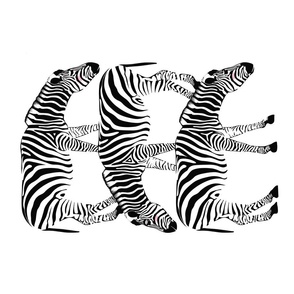 3 zebras - black and white with pink rosy cheeks