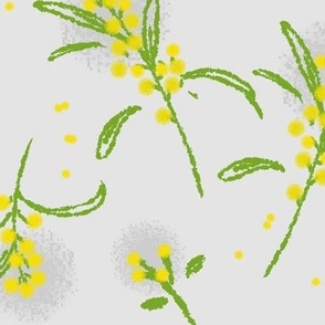 Yellow wattle//Native winter plant