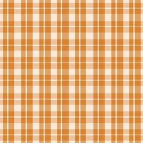 orange stripes, gingham - medium