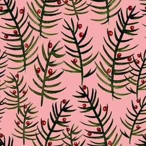 Christmas Ferns