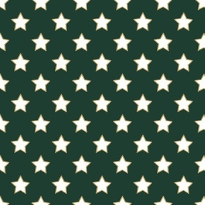 Christmas Star Green-Minimal Christmas Star