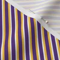 Bigger Scale Team Spirit Diagonal Stripes in Minnesota Vikings Colors Purple and Yellow Gold