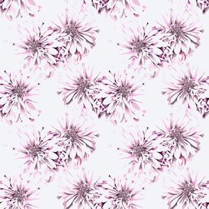 [Medium] Embedded Bright Pink Dahlia