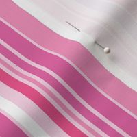 Basic Stripe-Multi-colored Varying Width Stripes-Bubble Gum Palette