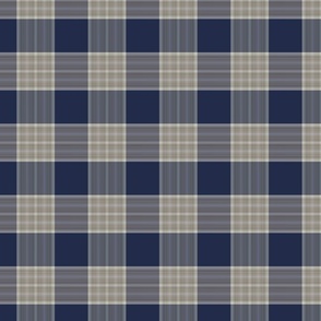 blue plaid check