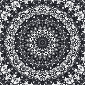 Black and White Mandala Kaleidoscope Medallion Flower