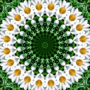 Daisy Chain Mandala Kaleidoscope Medallion Flower