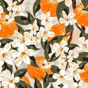 Fruit Tree Summer Citrus Plant, Oranges Orange Blossom Flowers, Decorative Blooms Petals and Buds on Neutral Background