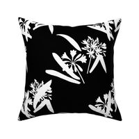 Clivia and Agapanthus Karaoke - white on black, medium