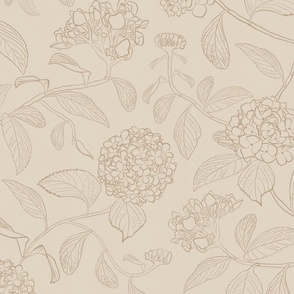 Beige latte line drawing of trailing floral hydrangea for wallpaper 