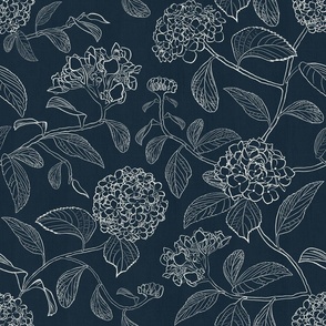 Medium scale navy blue and white line drawing of trailing floral hydrangea for wallpaper