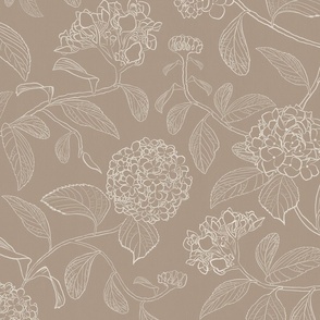 Medium scale mushroom brown line drawing of trailing floral hydrangea for neutral wallpaper