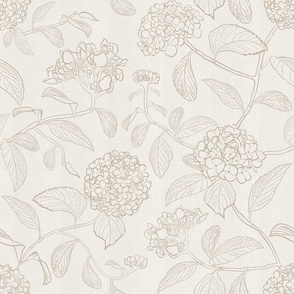 Medium scale beige line drawing of trailing floral hydrangea for neutral wallpaper 