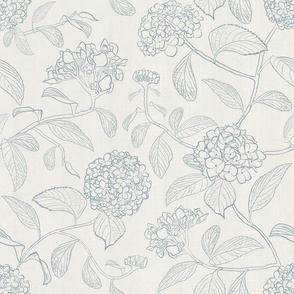 Medium scale light blue line drawing of trailing floral hydrangea for wallpaper