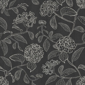 Medium scale black and white trailing floral hydrangea for wallpaper
