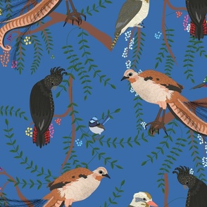 Bush Blue Birds Of Paradise, fairy wren, black cockatoo, kookaburra, galah, king parrot, lyre bird