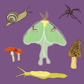 Invertebrates and mushrooms (purple)