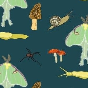 Invertebrates and mushrooms (teal)