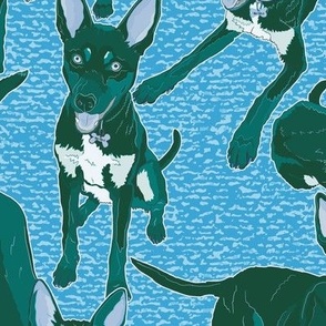 who's a good boy?! Australian kelpie dog // large scale - Pantone ultra steady - blue green